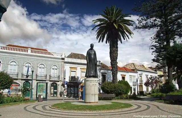 <a rel="nofollow" class="external text" href="https://www.flickr.com/people/21446942@N00">Vitor Oliveira</a> from Torres Vedras, PORTUGAL