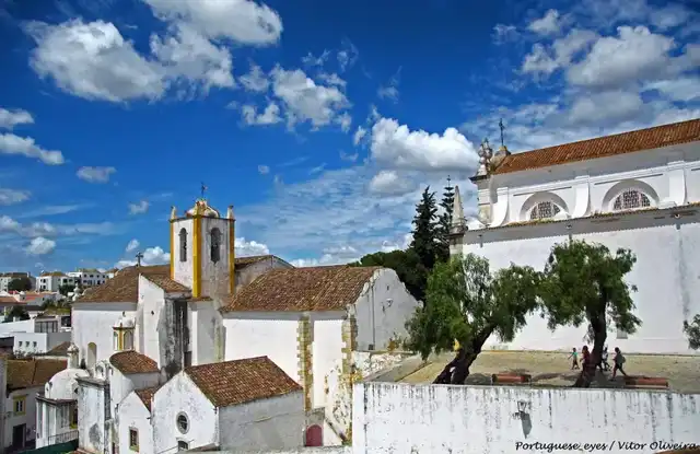 Vitor Oliveira from Torres Vedras, PORTUGAL, CC BY-SA 2.0 <https://creativecommons.org/licenses/by-sa/2.0>, via Wikimedia Commons